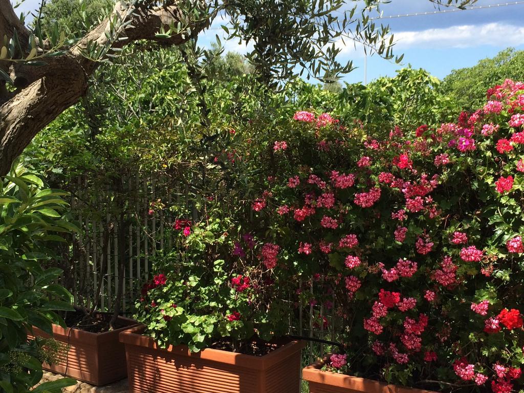 Amoredimare B&B In Villa 滨海波利尼亚诺 外观 照片
