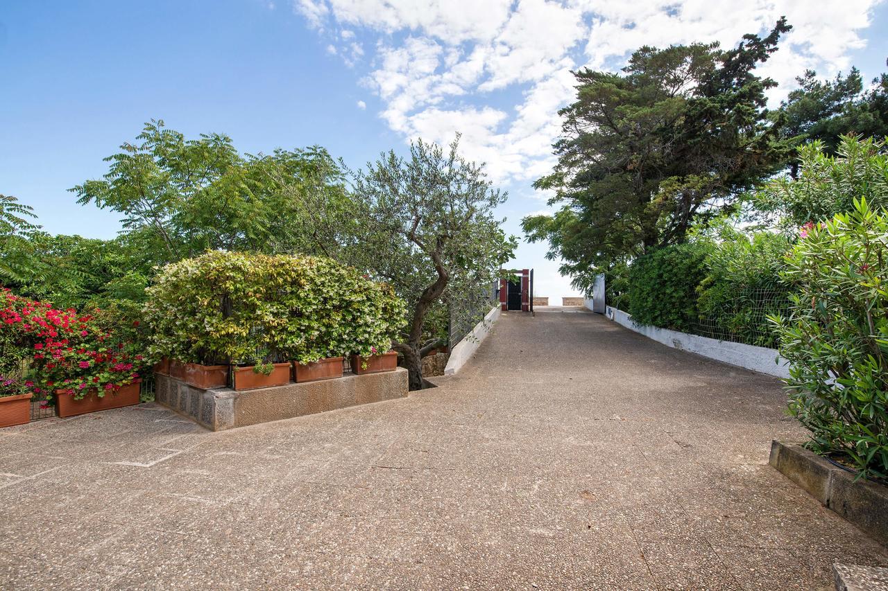 Amoredimare B&B In Villa 滨海波利尼亚诺 外观 照片