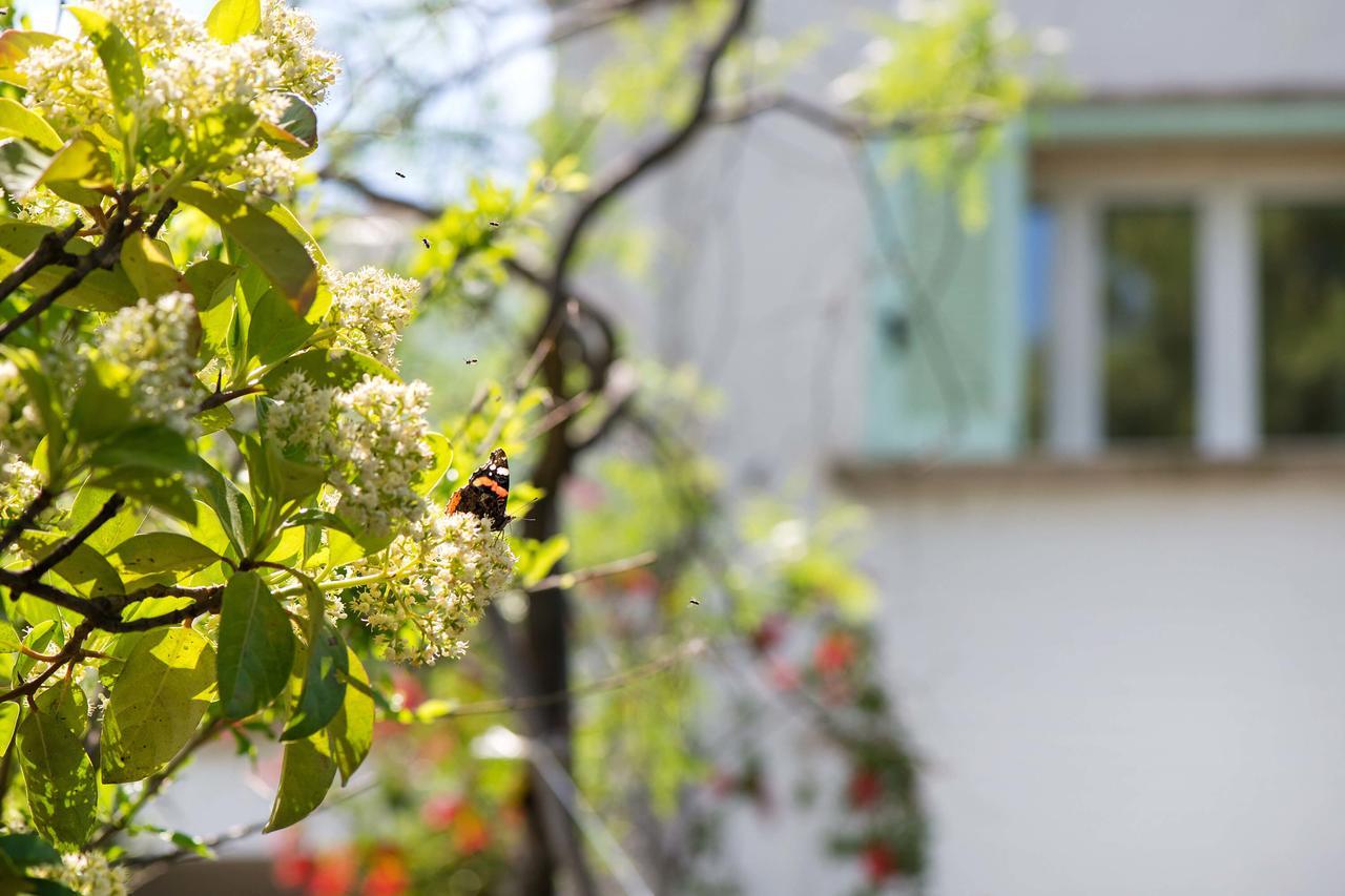 Amoredimare B&B In Villa 滨海波利尼亚诺 外观 照片